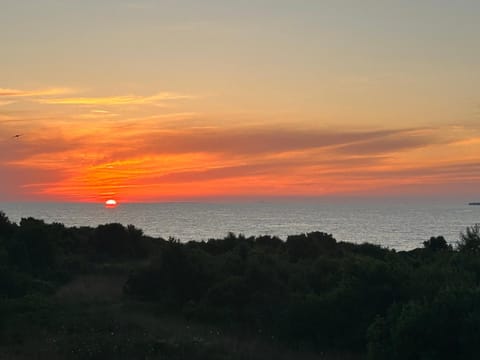 Apartment Puntamika Apartment in Zadar