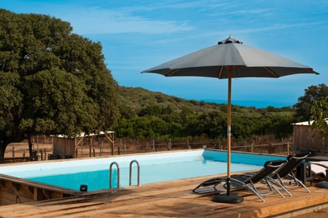 Les Chalets De Tesa Chalet in Corsica