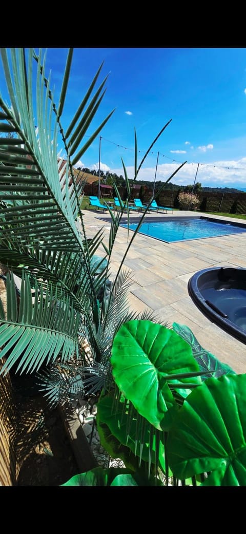Day, Natural landscape, Pool view, Swimming pool
