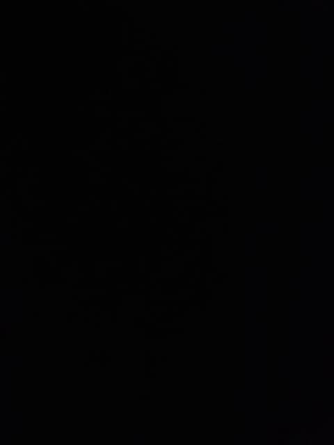 Night