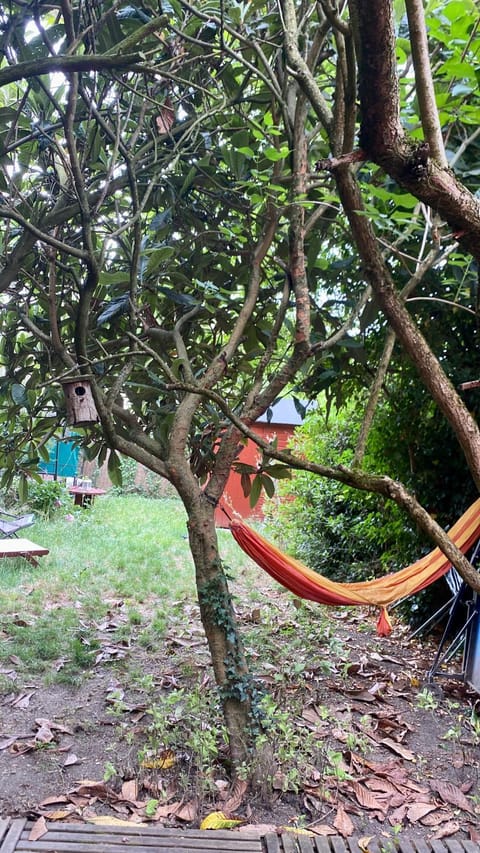 Spring, Natural landscape, Garden