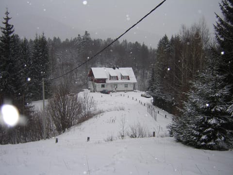 Winter