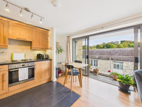 Kitchen or kitchenette, Dining area, stove