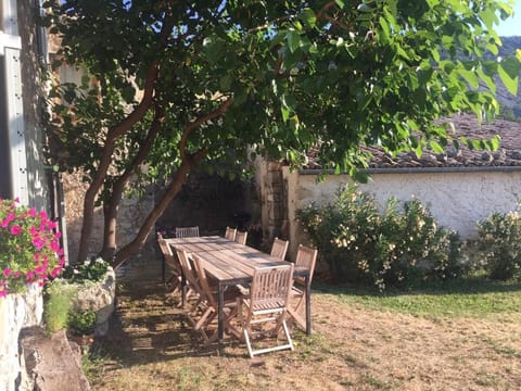 Patio, Garden, Garden view