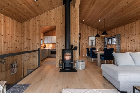 Kitchen or kitchenette, Living room, Photo of the whole room, Seating area, fireplace