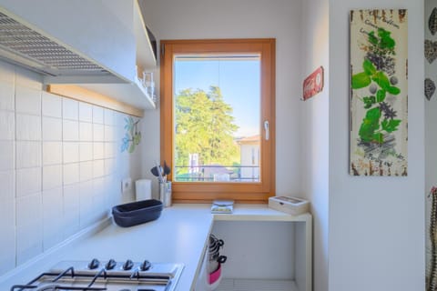 Kitchen or kitchenette, Mountain view, stove, kitchen