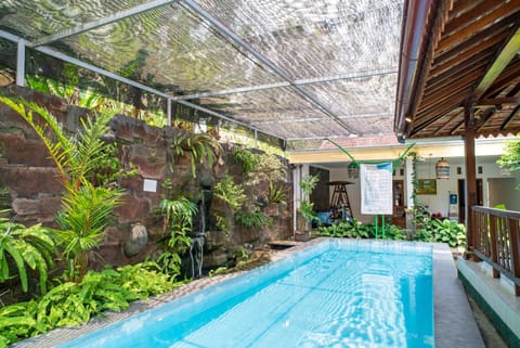 Day, Garden, Garden view, Pool view, Swimming pool, Swimming pool