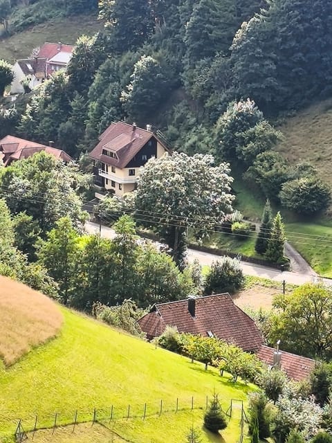 Natural landscape, Bird's eye view, Garden view, Mountain view