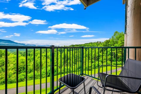 Cozy Bear House in Pittman Center