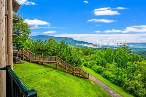 Cozy Bear House in Pittman Center