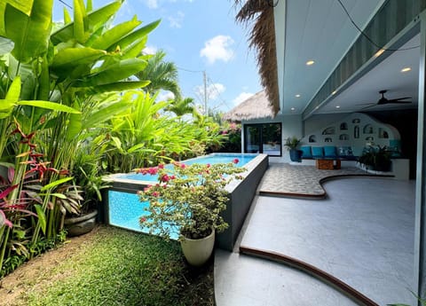 Garden, Swimming pool