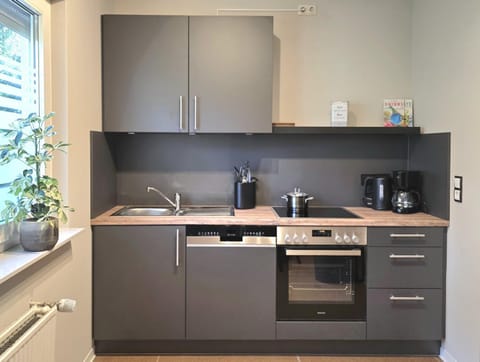 Kitchen or kitchenette, stove, kitchen