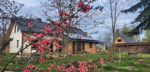 Property building, Spring