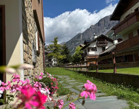Natural landscape, Garden, Garden view, Mountain view