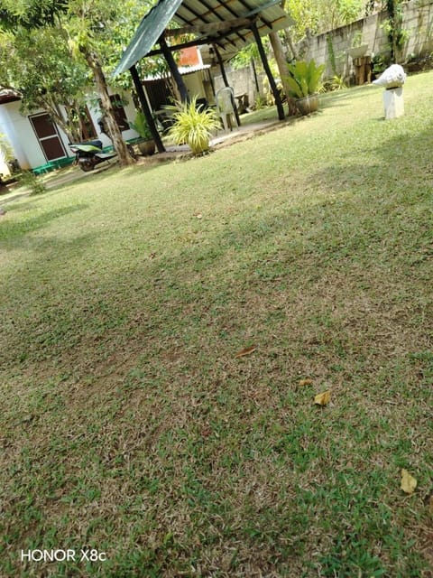 Natural landscape, Garden, Garden view