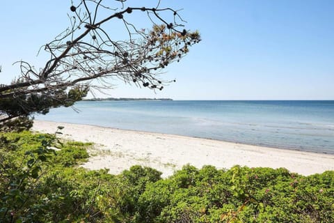 16663-Farevejle-Logager-17 House in Zealand