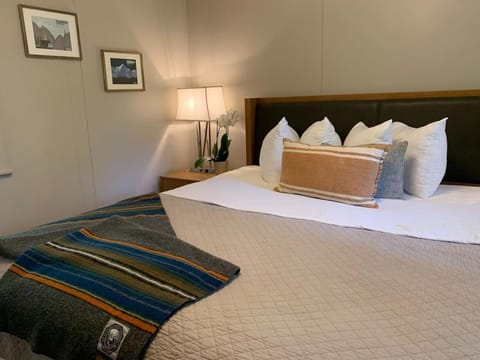 Adventure Cabin 3 King Bed Hot Tub Cabin in Eureka Springs