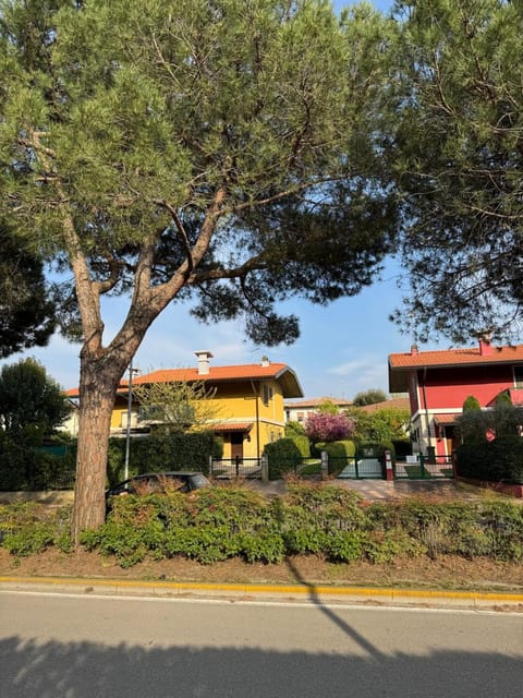 Property building, Day