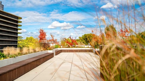 Spring, Day, Garden, Garden view