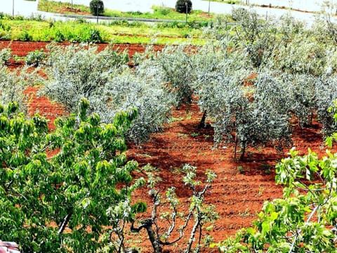 Villa Lamanova Bed and Breakfast in Rovinj