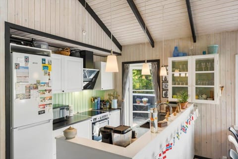 BL1666-Saltum-Vikingebanke-5 House in Denmark