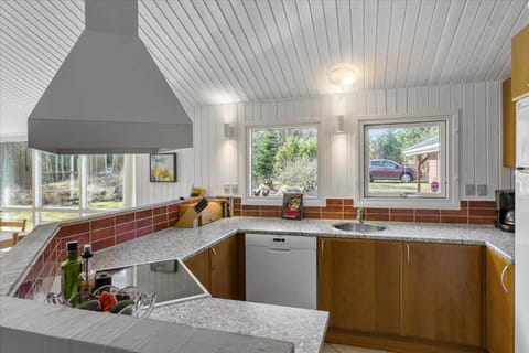 BL1727-Pandrup-Lunekrogen-16 House in Denmark