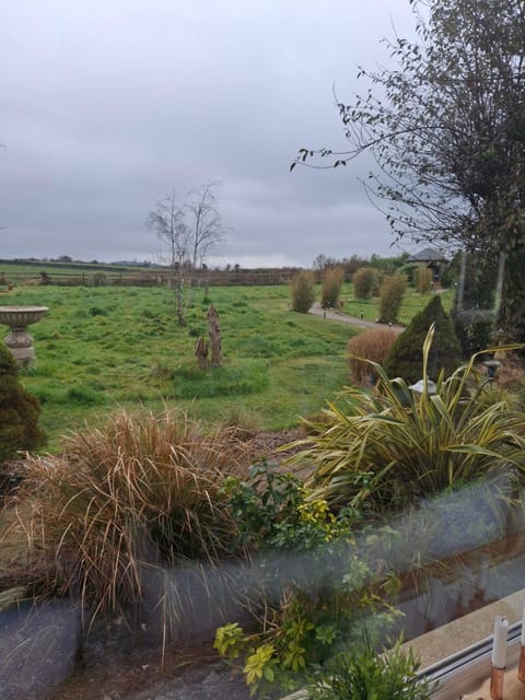 Communal kitchen, Garden view, kitchen