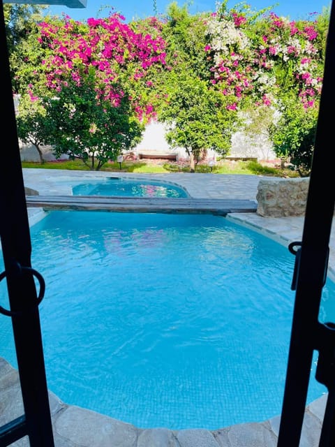 Balcony/Terrace, Swimming pool, Swimming pool