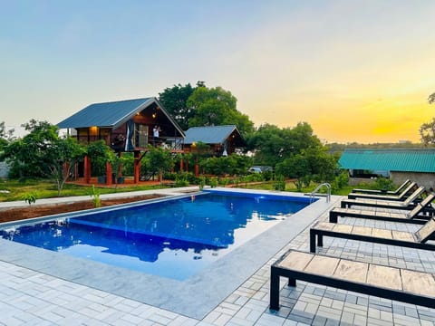 Natural landscape, Pool view, Swimming pool, Sunrise, Sunset, sunbed