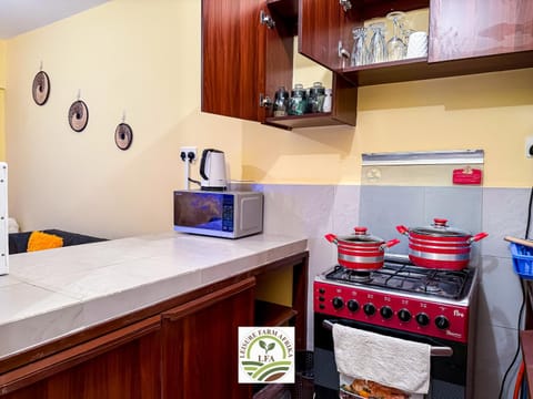Coffee/tea facilities, Kitchen or kitchenette, oven, stove