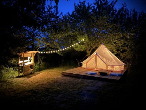 Night, Natural landscape, Garden, Location