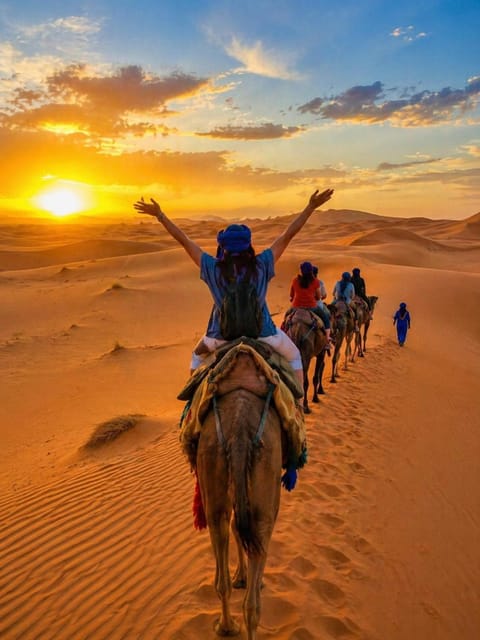 Day, People, Natural landscape, Animals, Sunset, group of guests