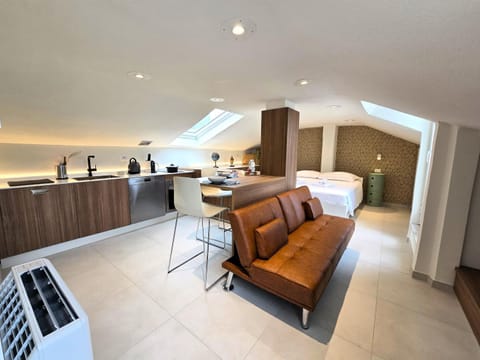Bed, TV and multimedia, Kitchen or kitchenette, Living room, Seating area, Dining area, Bedroom