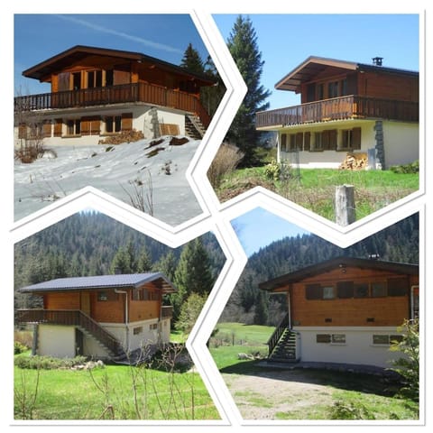 Le chalet des Skieurs Vosges Chalet in Xonrupt-Longemer