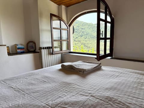 Bed, Natural landscape, Photo of the whole room, Bedroom, Mountain view, towels