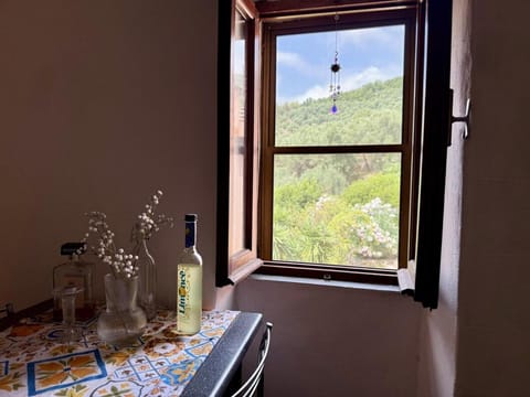 Natural landscape, Dining area, Mountain view