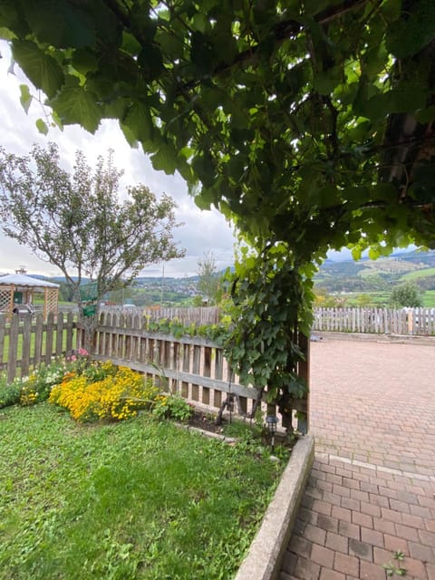 Property building, Mountain view