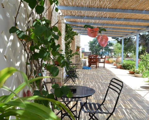 Patio, Day, Garden, Balcony/Terrace