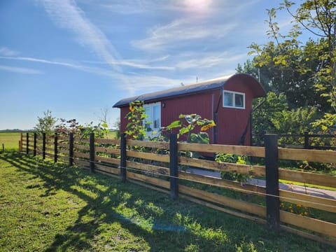 Property building, Day, Garden