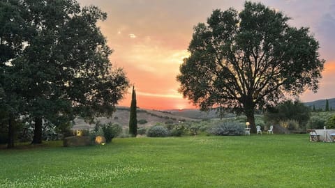 Natural landscape, Garden, Garden view, Sunset