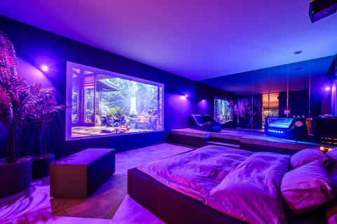 Bed, TV and multimedia