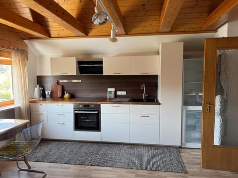 Kitchen or kitchenette, dishwasher, stove