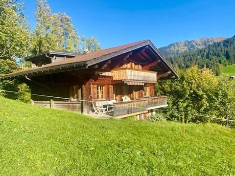 Chalet near Gstaad Chalet in Saanen