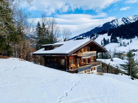 Chalet near Gstaad Chalet in Saanen