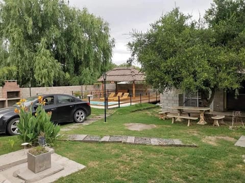 Day, Garden, Garden