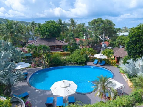 Property building, Day, Natural landscape, Garden, Garden view, Pool view, Swimming pool, sunbed