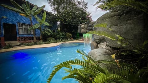 Natural landscape, Garden, Garden view, Pool view, Swimming pool