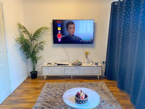 TV and multimedia