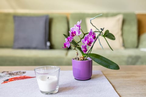 Ferienwohnung Für Monteure Apartment in Lychen