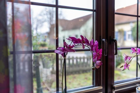 Ferienhaus Am Reiterhof Apartment in Lychen